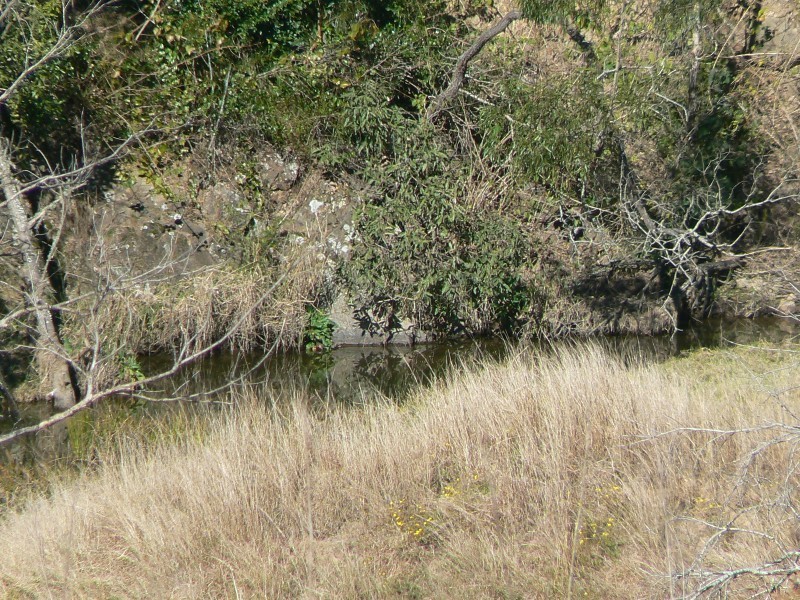 Wherrol Flat NSW 2429