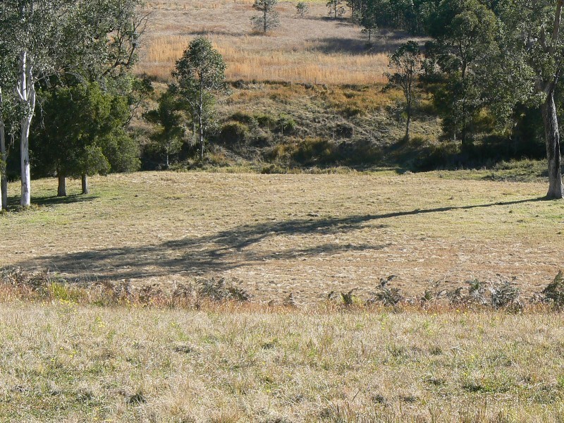 Wherrol Flat NSW 2429