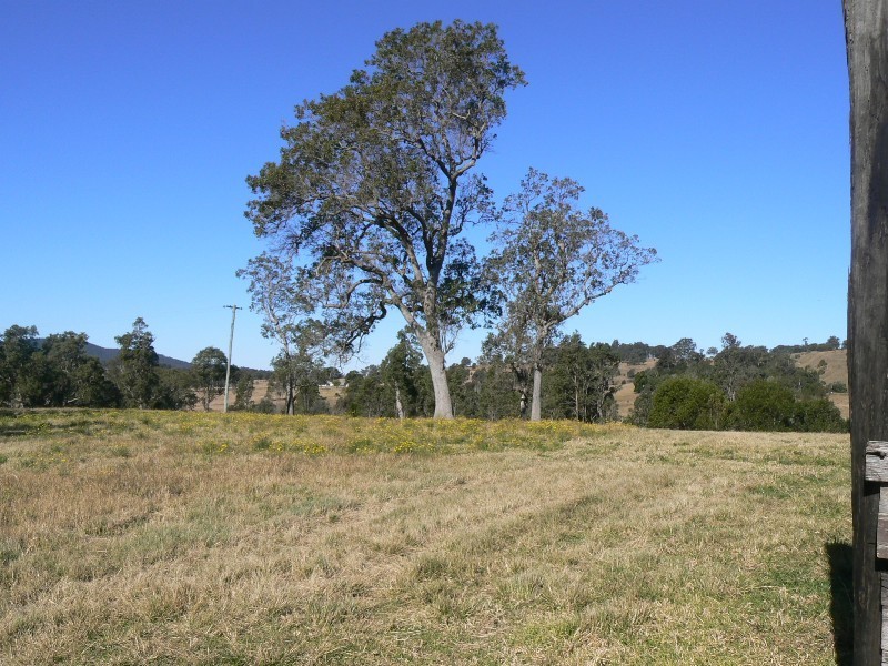 Wherrol Flat NSW 2429