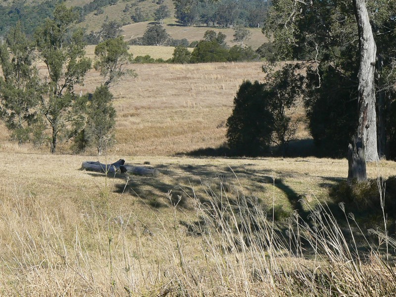 Wherrol Flat NSW 2429