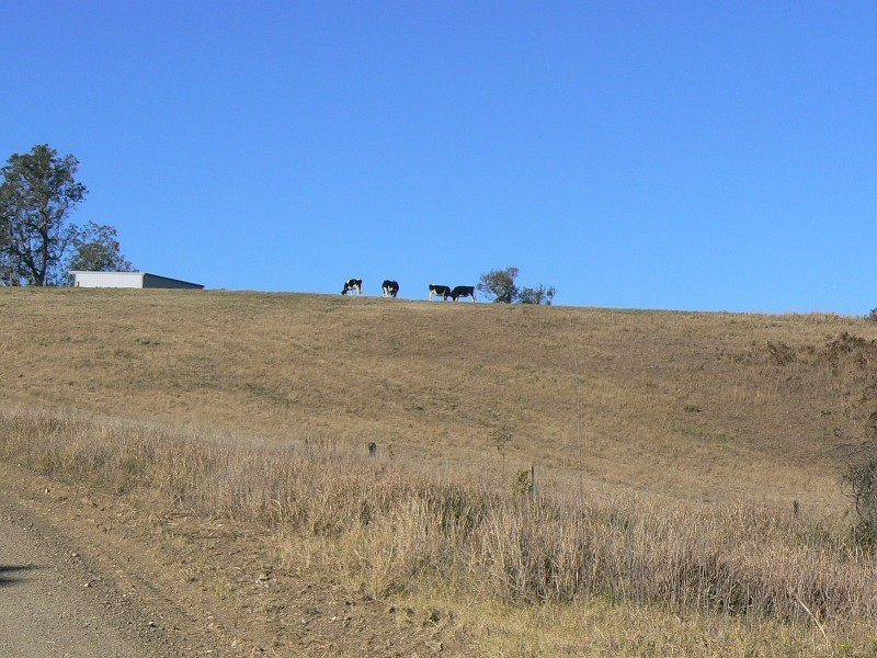 Wherrol Flat NSW 2429