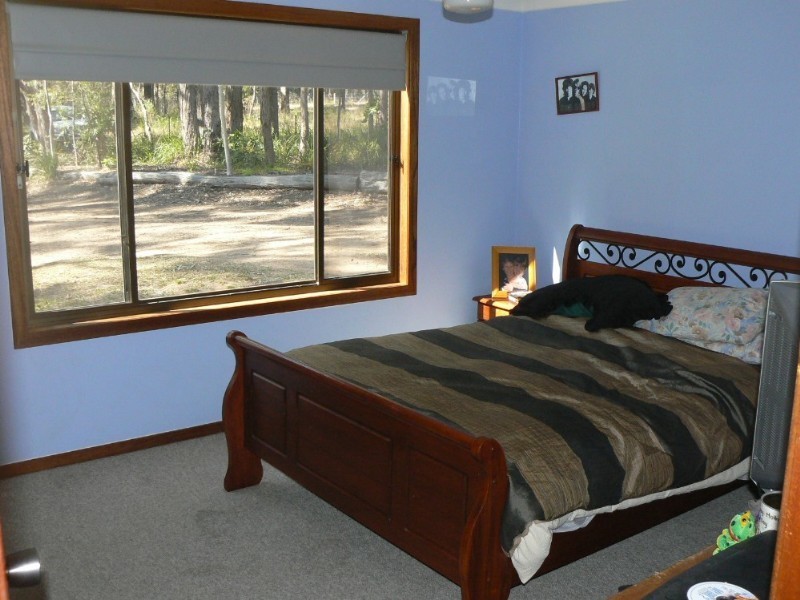 Cedar Party NSW 2429