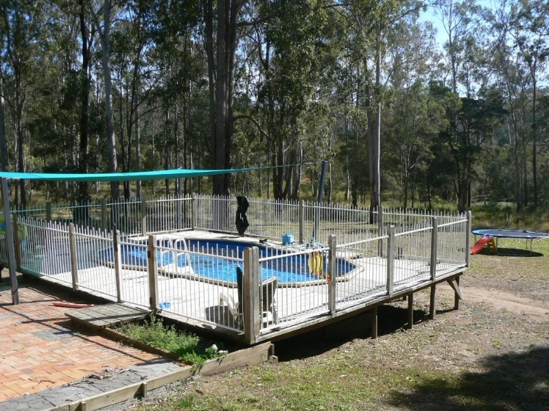 Cedar Party NSW 2429