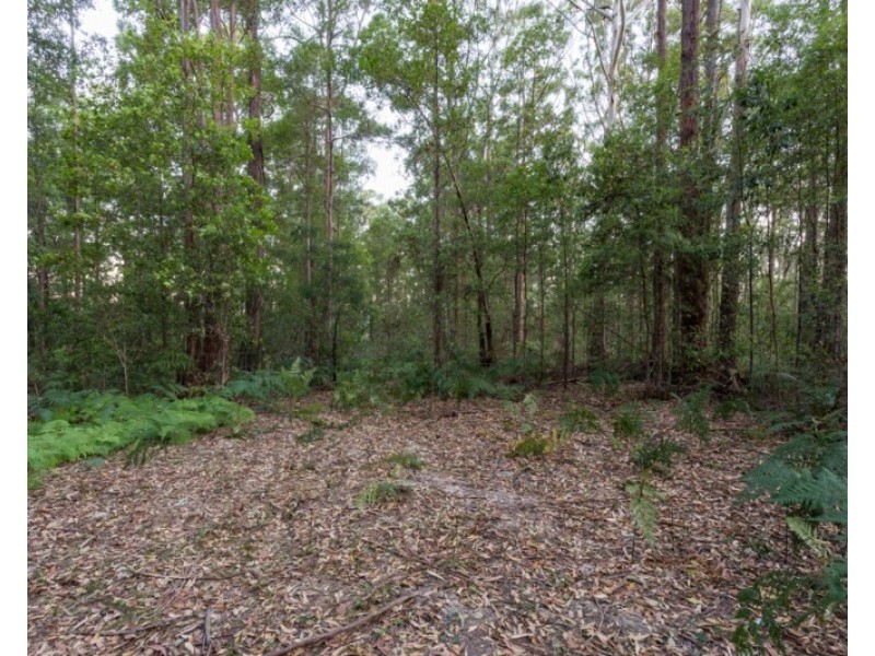 11 Steinmetz Close, Waitui NSW 2443