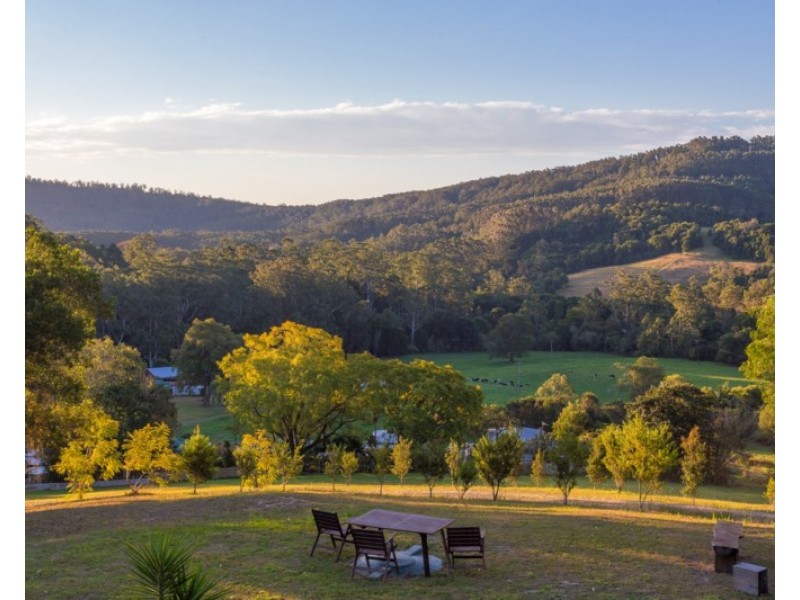 11 Steinmetz Close, Waitui NSW 2443