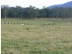 Burrell Creek NSW 2429