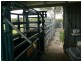 Burrell Creek NSW 2429