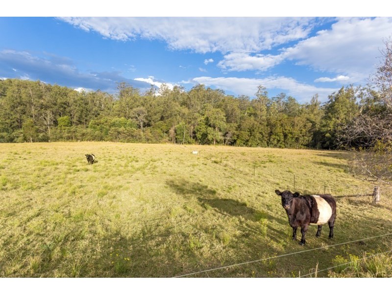 835 Caparra Road, Wingham NSW 2429