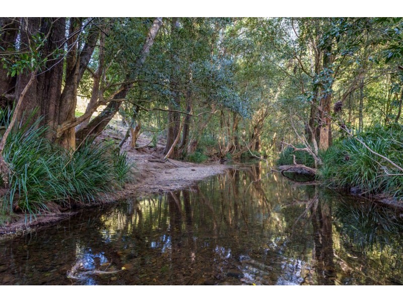 835 Caparra Road, Wingham NSW 2429