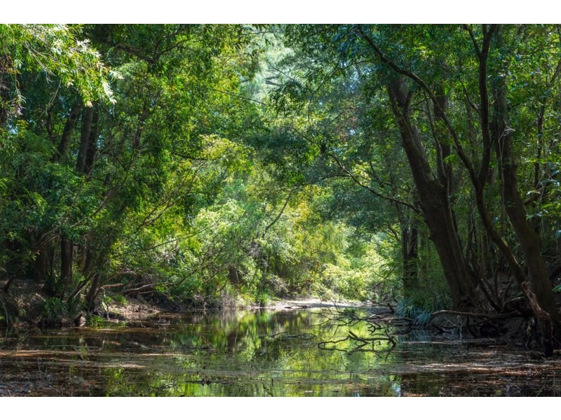 633 Wherrol Flat Road, Wherrol Flat NSW 2429