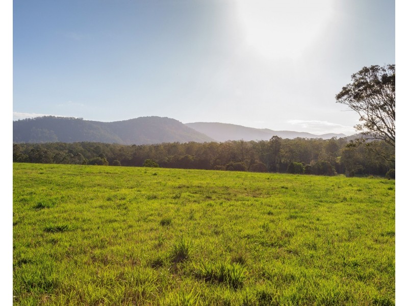 564 Kimbriki Road, Wingham NSW 2429