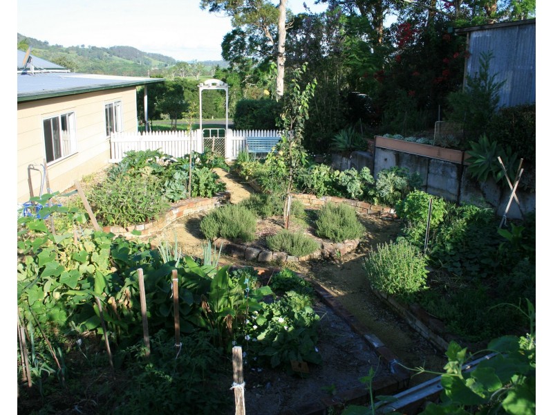 564 Kimbriki Road, Wingham NSW 2429