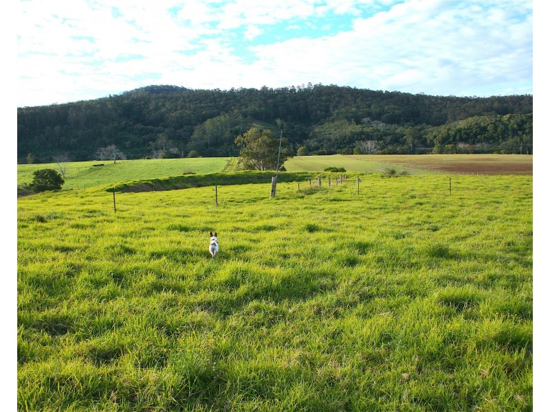 564 Kimbriki Road, Wingham NSW 2429