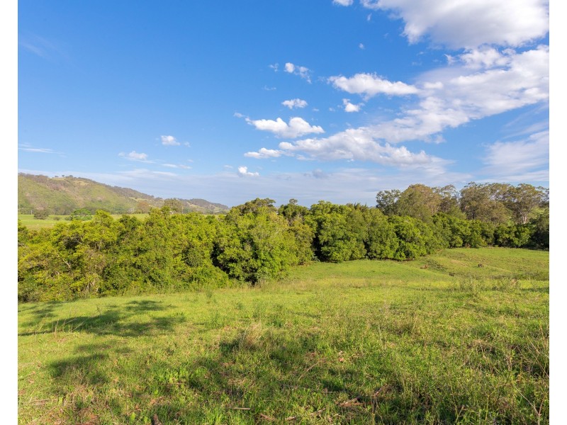 564 Kimbriki Road, Wingham NSW 2429