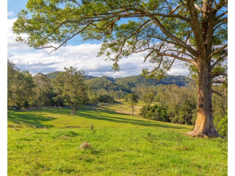 “Carinya” 916 Mooral Creek Road, Strathcedar NSW 2429
