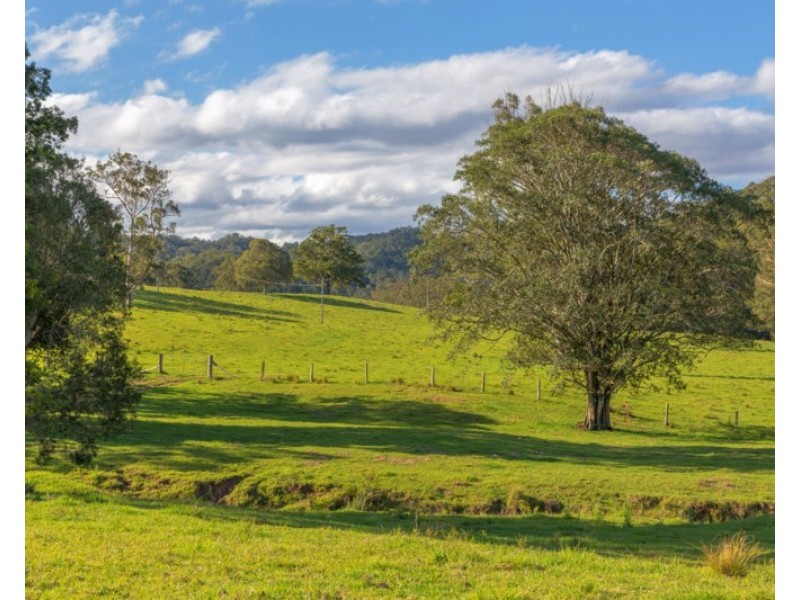 “Carinya” 916 Mooral Creek Road, Strathcedar NSW 2429