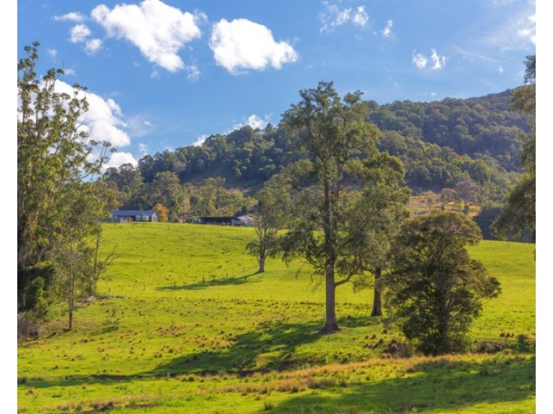 “Carinya” 916 Mooral Creek Road, Strathcedar NSW 2429