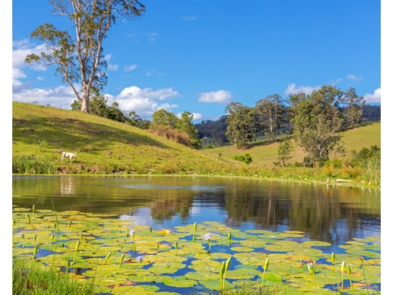 “Carinya” 916 Mooral Creek Road, Strathcedar NSW 2429