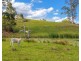 “Carinya” 916 Mooral Creek Road, Strathcedar NSW 2429