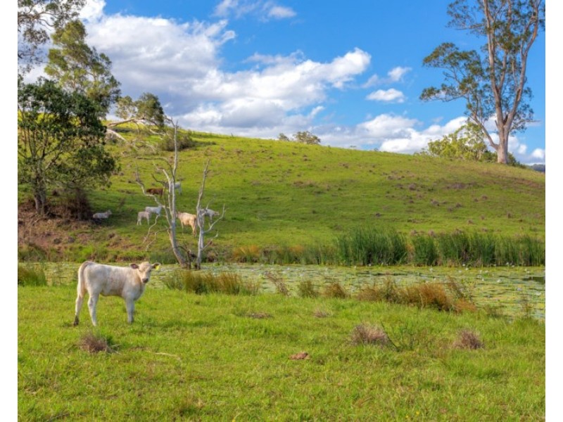 “Carinya” 916 Mooral Creek Road, Strathcedar NSW 2429