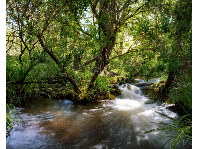 1344 Bakers Creek Road, Bakers Creek NSW 2422