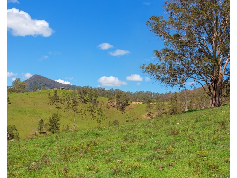 1344 Bakers Creek Road, Bakers Creek NSW 2422