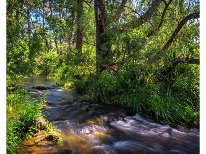 1344 Bakers Creek Road, Bakers Creek NSW 2422