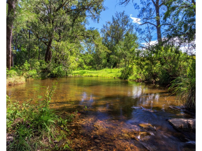 1344 Bakers Creek Road, Bakers Creek NSW 2422