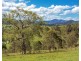 1344 Bakers Creek Road, Bakers Creek NSW 2422