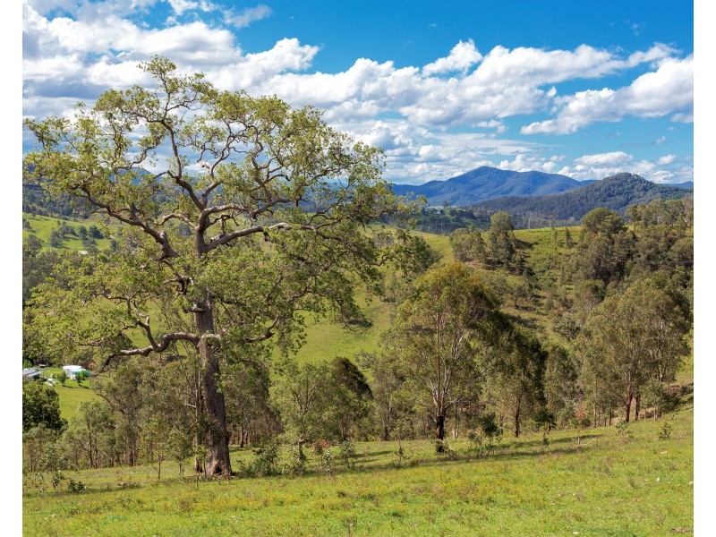 1344 Bakers Creek Road, Bakers Creek NSW 2422