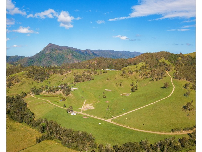 1344 Bakers Creek Road, Bakers Creek NSW 2422