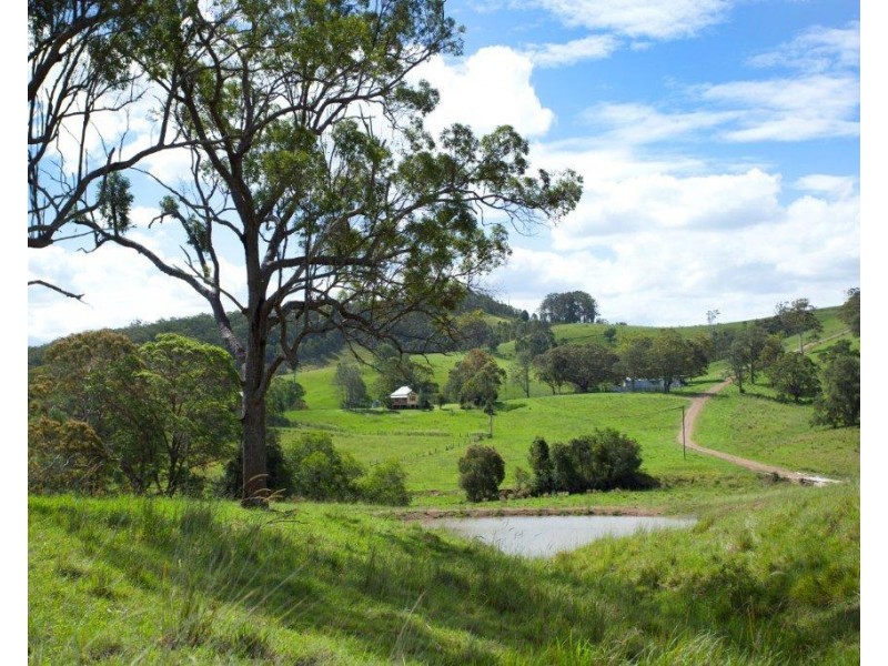 5691 The Bucketts Way, Burrell Creek NSW 2429