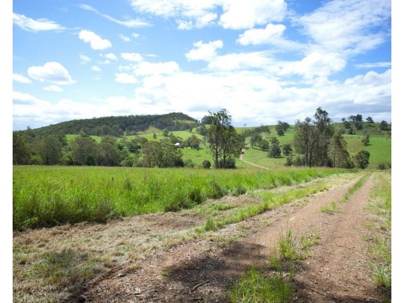 5691 The Bucketts Way, Burrell Creek NSW 2429