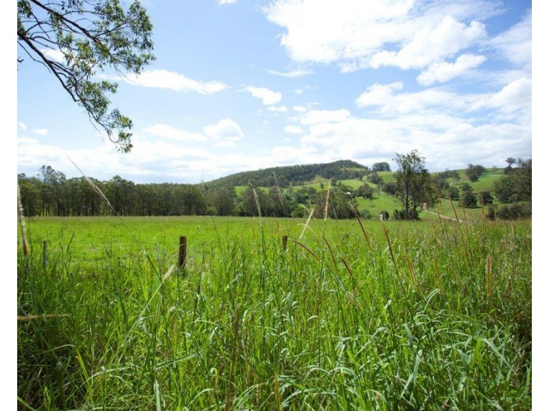 5691 The Bucketts Way, Burrell Creek NSW 2429