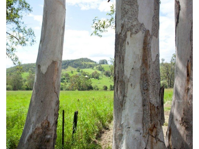5691 The Bucketts Way, Burrell Creek NSW 2429