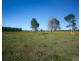 114 Manning River Drive, Taree NSW 2430