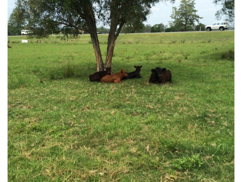 114 Manning River Drive, Taree NSW 2430