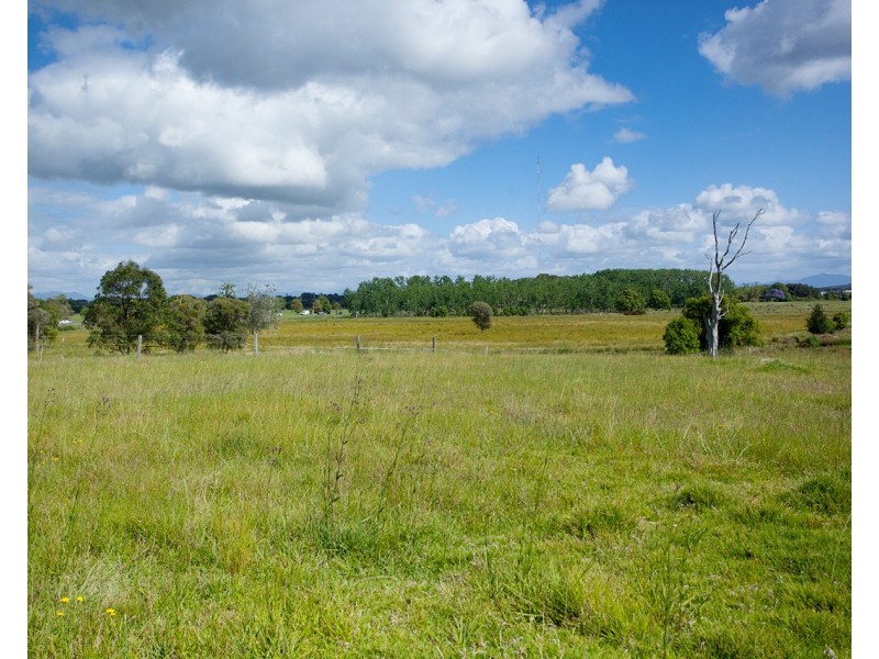 114 Manning River Drive, Taree NSW 2430