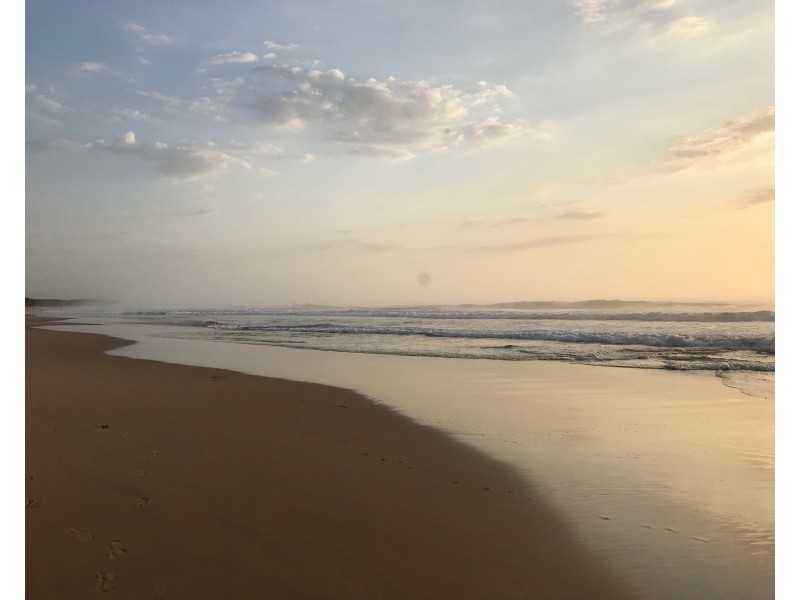 5 Gum Blossom Place, Tallwoods Village NSW 2430