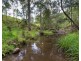 188 Enfield Range Road, Cooplacurripa NSW 2424