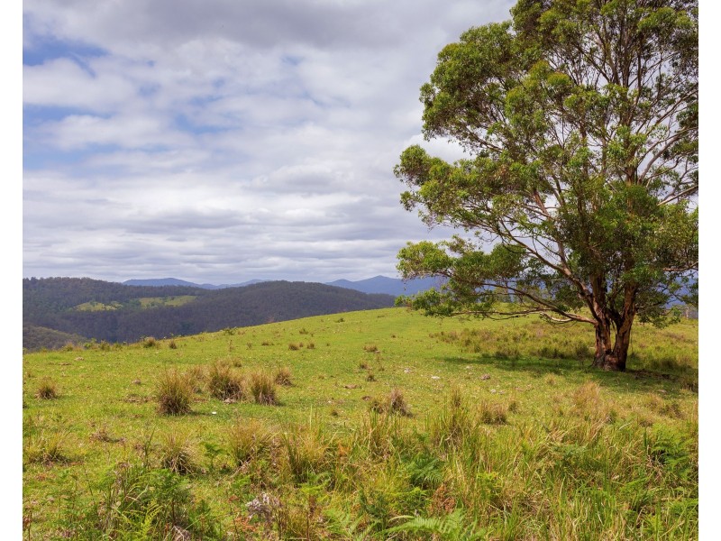 188 Enfield Range Road, Cooplacurripa NSW 2424