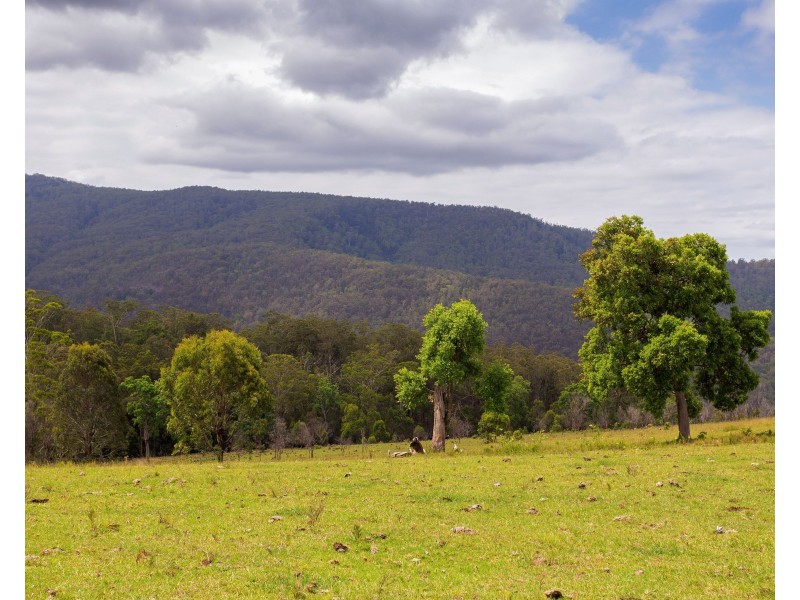 188 Enfield Range Road, Cooplacurripa NSW 2424