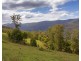 188 Enfield Range Road, Cooplacurripa NSW 2424