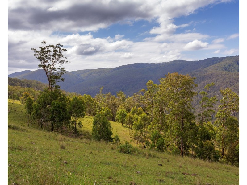 188 Enfield Range Road, Cooplacurripa NSW 2424
