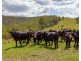 188 Enfield Range Road, Cooplacurripa NSW 2424
