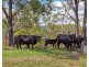 188 Enfield Range Road, Cooplacurripa NSW 2424