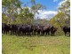 188 Enfield Range Road, Cooplacurripa NSW 2424