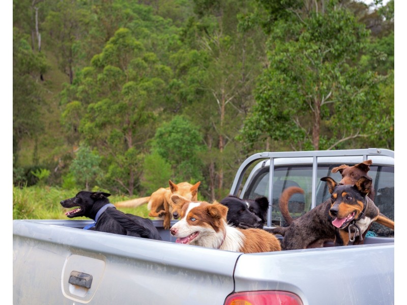 188 Enfield Range Road, Cooplacurripa NSW 2424