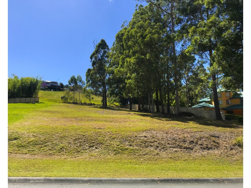 17 Hilltop Parkway, Tallwoods Village NSW 2430