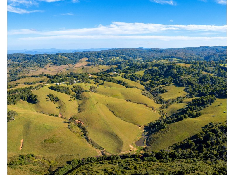 54 Beech Road, Elands NSW 2429